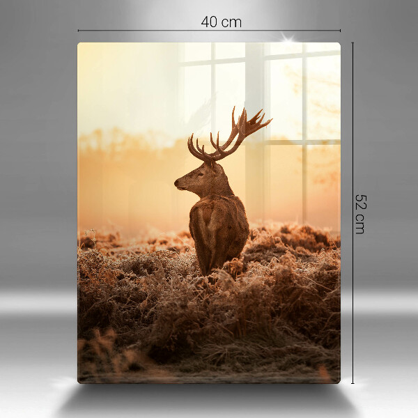 Skärbräda i glas Rådjur i fält