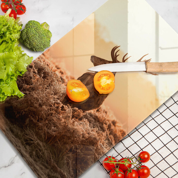 Skärbräda i glas Rådjur i fält