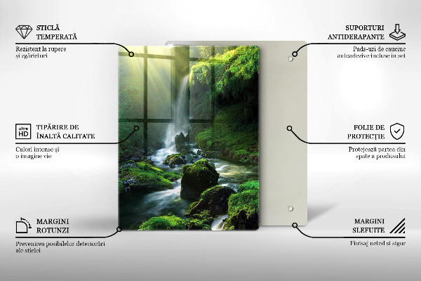 Skärbräda i glas Vattenfall i djungeln