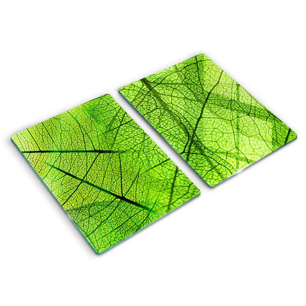 Skärbräda glas Blad vener natur