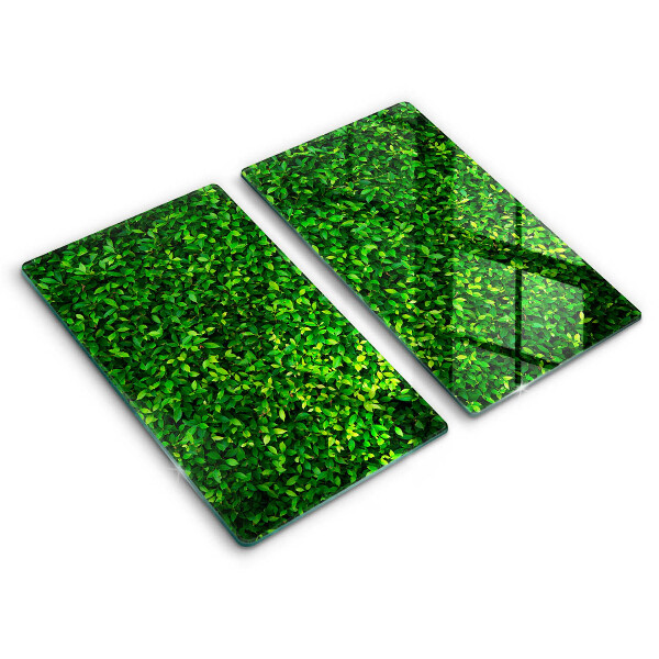 Skärbräda glas Plantera små blad