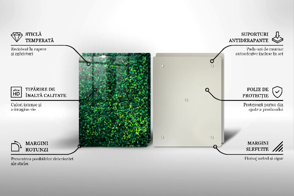 Skärbräda glas Plantera små blad