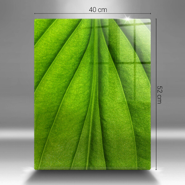 Glasskärbräda Lövvens natur