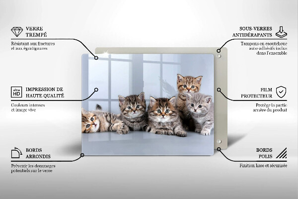 Skärbräda i härdat glas Söta små kattungar