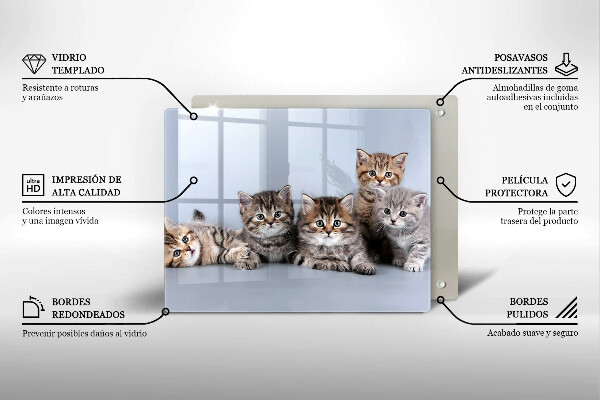 Skärbräda i härdat glas Söta små kattungar