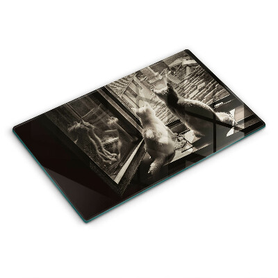 Skärbräda i härdat glas Katter stad och fönster