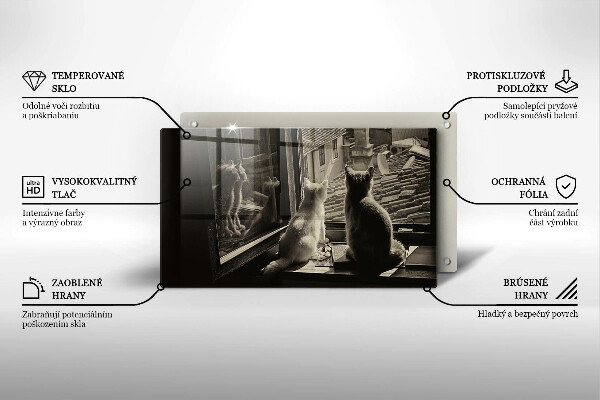 Skärbräda i härdat glas Katter stad och fönster