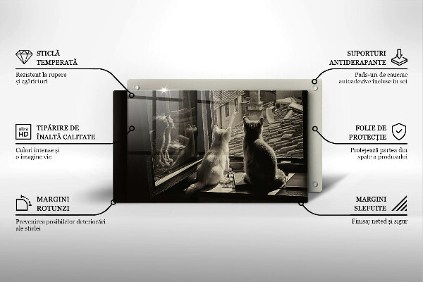 Skärbräda i härdat glas Katter stad och fönster