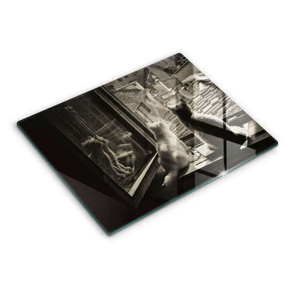 Skärbräda i härdat glas Katter stad och fönster