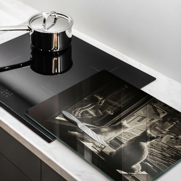 Skärbräda i härdat glas Katter stad och fönster