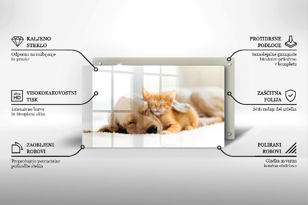 Skärbräda i härdat glas Djur hund och katt