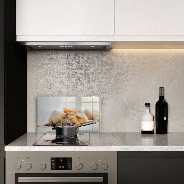 Skärbräda i härdat glas Djur hund och katt