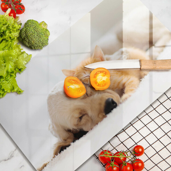 Skärbräda i härdat glas Djur hund och katt