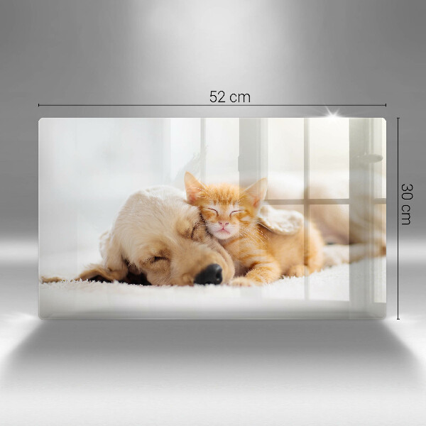 Skärbräda i härdat glas Djur hund och katt