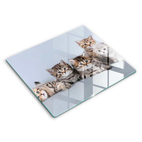 Skärbräda av glas Söta små kattungar