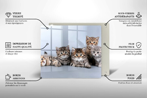 Skärbräda av glas Söta små kattungar