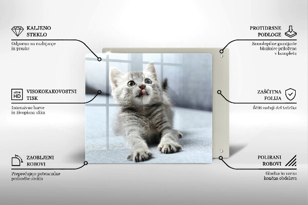 Skärbräda av glas Liten söt kattunge