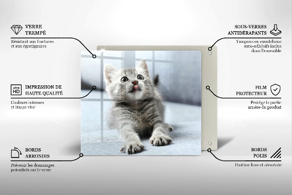 Skärbräda av glas Liten söt kattunge