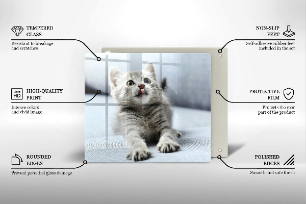 Skärbräda av glas Liten söt kattunge