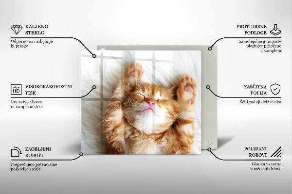 Skärbräda av glas Liten söt kattunge