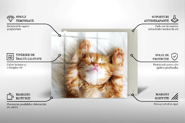 Skärbräda av glas Liten söt kattunge