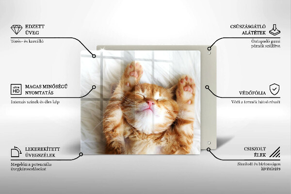 Skärbräda av glas Liten söt kattunge