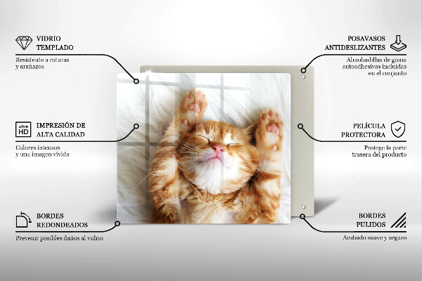 Skärbräda av glas Liten söt kattunge