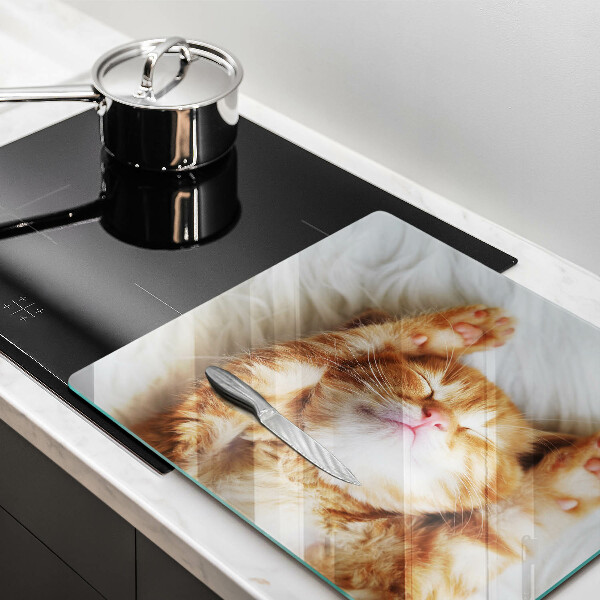 Skärbräda av glas Liten söt kattunge