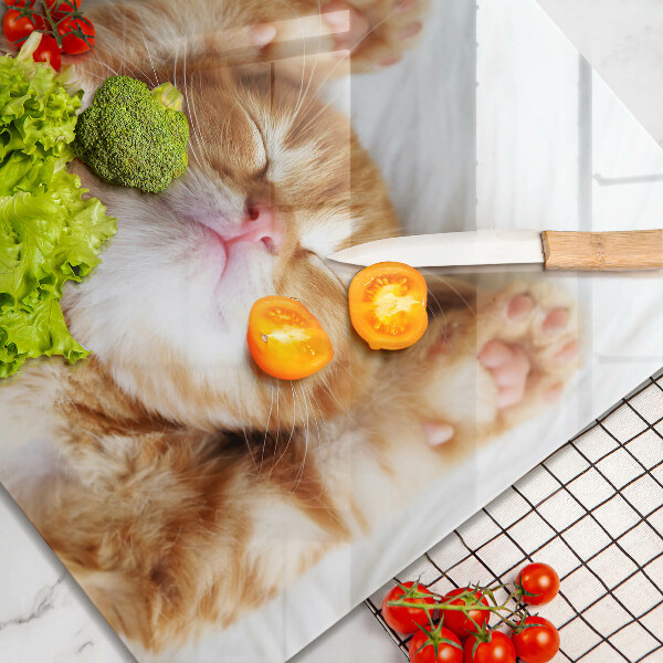 Skärbräda av glas Liten söt kattunge