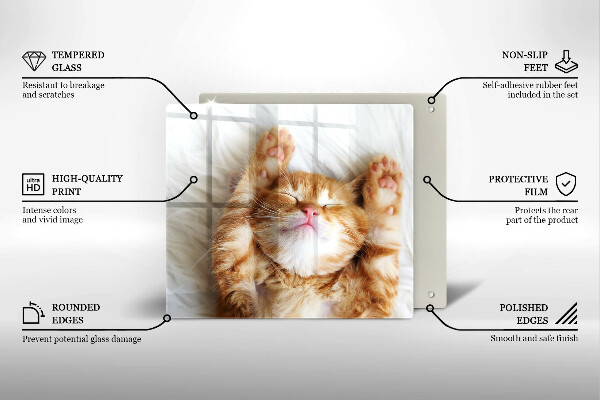 Skärbräda av glas Liten söt kattunge