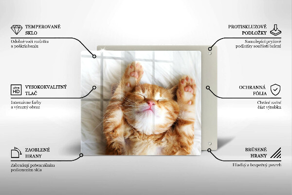 Skärbräda av glas Liten söt kattunge