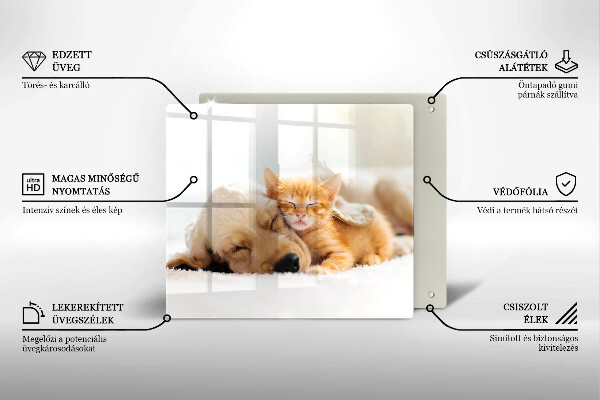 Skärbräda av glas Djur hund och katt