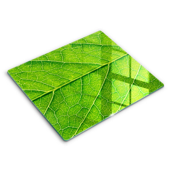 Skärbräda av glas Blad vener natur