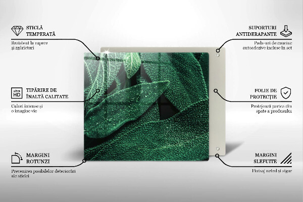 Skärbräda av glas Blad av växten