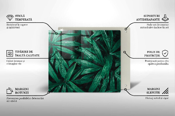 Skärbräda av glas Växter löv