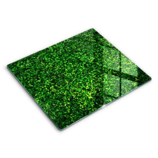 Skärbräda av glas Plantera små blad