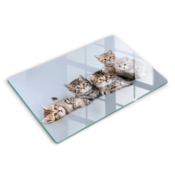 Skärbräda glas modern Söta små kattungar