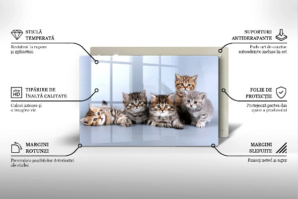 Skärbräda glas modern Söta små kattungar