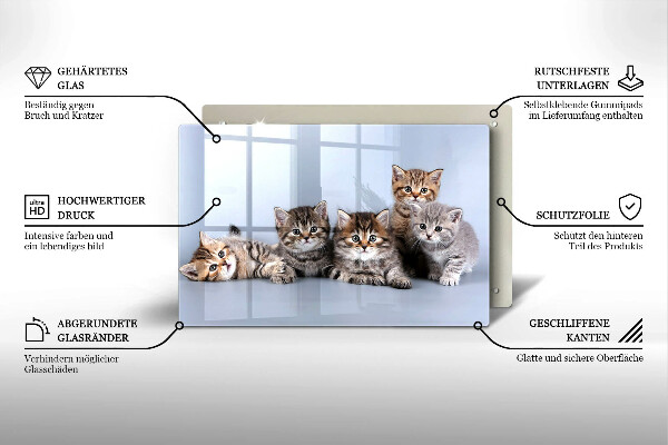 Skärbräda glas modern Söta små kattungar