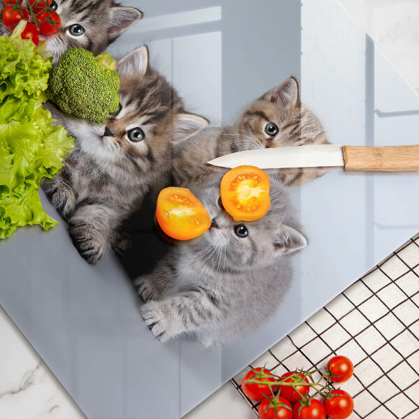 Skärbräda glas modern Söta små kattungar