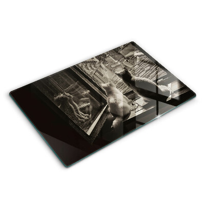 Skärbräda glas modern Katter stad och fönster