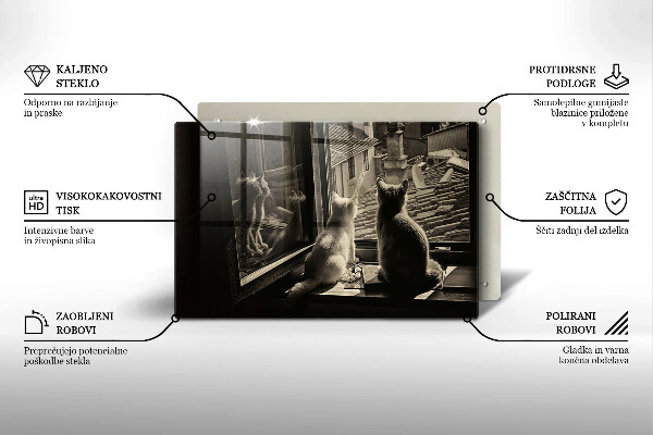 Skärbräda glas modern Katter stad och fönster