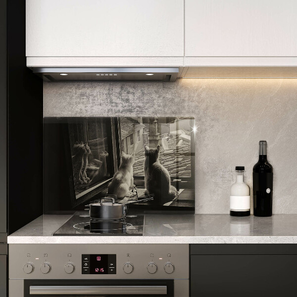 Skärbräda glas modern Katter stad och fönster