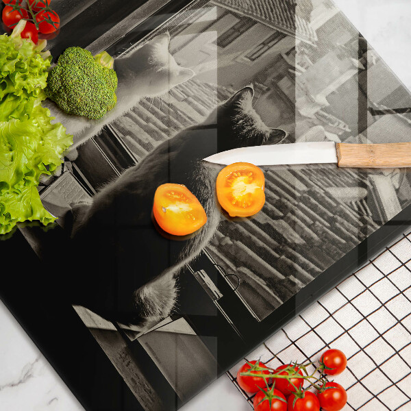 Skärbräda glas modern Katter stad och fönster