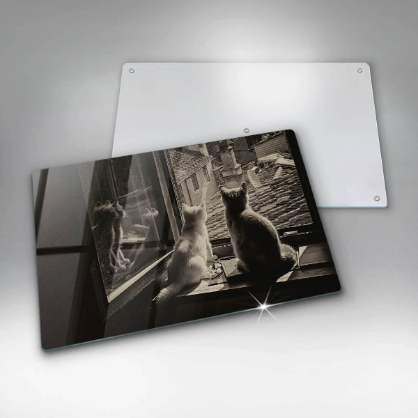 Skärbräda glas modern Katter stad och fönster