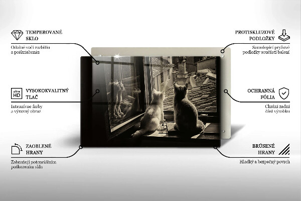 Skärbräda glas modern Katter stad och fönster
