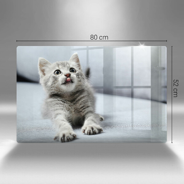 Skärbräda glas modern Liten söt kattunge