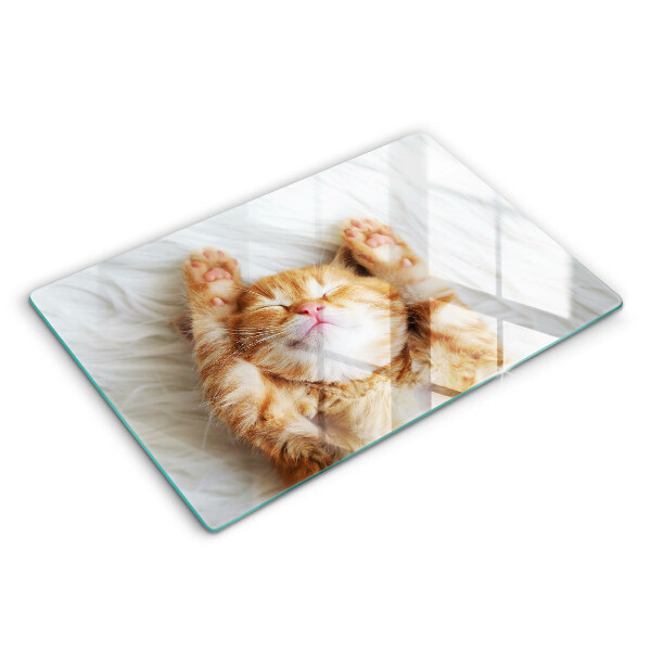 Skärbräda glas modern Liten söt kattunge