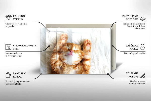 Skärbräda glas modern Liten söt kattunge