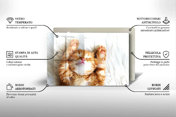 Skärbräda glas modern Liten söt kattunge